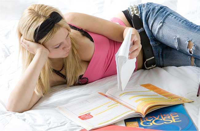 student life online education for an A Grade in GCSE revision in a month guide